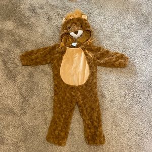 Lion Halloween costume.